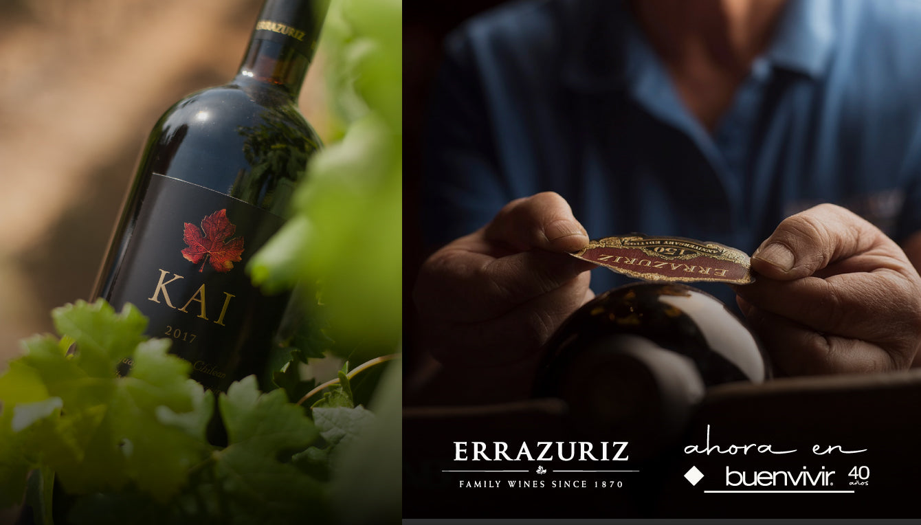 Errazuriz: De la mejor tierra, los mejores vinos